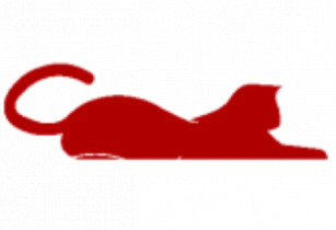 Центр естетичної освіти RedCat